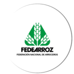 fede
